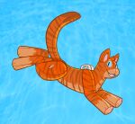  catboyjail domestic_cat felid feline felis feral flametail_(warriors) hi_res inflatable inflatable_toy male mammal pool_toy solo solo_focus warriors_(cats) water 