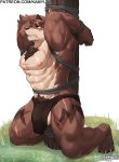 anthro bound bulge canid canine canis hi_res kamyuelo male mammal muscular muscular_anthro muscular_male nipples scar solo text url wolf 