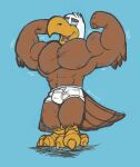 absurd_res accipitrid accipitriform anthro avian bald_eagle barefoot beak bird blue_sclera briefs briefs_only brown_body brown_feathers bulge claws clothed clothing eagle feathers feet flexing_muscles hi_res krunchycroc male muscular muscular_male open_mouth orange_beak sea_eagle shadow smile solo talons tighty_whities tongue_showing topless underwear underwear_only vein white_body white_briefs white_clothing white_feathers white_underwear 