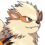  animal_focus arcanine asatsuki_(fgfff) bright_pupils brown_eyes closed_mouth commentary_request fang fang_out lowres no_humans pokemon pokemon_(creature) simple_background solo upper_body white_background white_pupils yellow_fur 