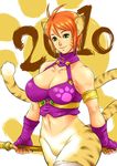  2010 animal_ears breasts breath_of_fire breath_of_fire_ii capcom cat_ears facial_mark fingerless_gloves gloves green_eyes large_breasts orange_hair rinpoo_chuan short_hair smile solo staff tail 