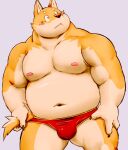  2023 anthro belly big_belly blush bulge canid canine canis clothing domestic_dog humanoid_hands kemono male mammal meg_hoi moobs navel nipples overweight overweight_male solo underwear 