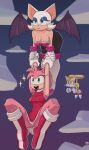  absurd_res amy_rose anthro bat bat_wings big_breasts breasts canid canine cleavage clothed clothing eulipotyphlan female flying fox frown group hedgehog hi_res male mammal massivetwo membrane_(anatomy) membranous_wings miles_prower open_mouth open_smile panties rouge_the_bat sega sky smile sonic_the_hedgehog_(series) trio underwear upskirt wings 