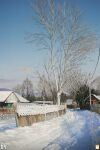 artist_logo bare_tree day fence highres house no_humans original outdoors power_lines scenery snow town tree yucong_tang 
