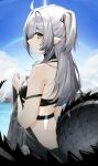  1girl ahoge arknights back bare_shoulders bikini black_bikini black_choker blue_sky blush breasts brown_eyes choker cowboy_shot crocodilian_tail day from_behind grey_hair highres holding long_hair looking_at_viewer looking_back official_alternate_costume official_alternate_hairstyle outdoors parted_lips pointy_ears rainbow scales sky small_breasts swimsuit tail tomimi_(arknights) two_side_up wazd0183 