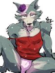  2021 anthro beastars canid canine canis clothed clothing crossdressing digital_drawing_(artwork) digital_media_(artwork) dress flower fur grey_body grey_fur hi_res jewelry legoshi_(beastars) looking_at_viewer makeup male mammal necklace panties plant shirako simple_background solo spread_legs spreading underwear upskirt white_background wolf 