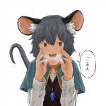  1girl animal_ear_fluff animal_ears blue_capelet brown_eyes capelet chagamaka commentary crystal grey_hair heavy_breathing highres jewelry mouse_ears mouse_girl mouse_tail nazrin necklace open_mouth pendant saliva solo tail touhou translation_request upper_body 