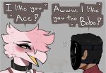  &lt;3 2023 ace_(claweddrip) anthro avian beak bird blush bobo_(claweddrip) claweddrip dark_body dark_skin dialogue duo english_text feathers female hi_res human male male/female mammal pink_body pink_feathers simple_background text 