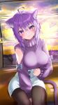  1girl absurdres ahoge animal_ear_fluff animal_ears bangs black_pantyhose blush bow breasts cat_ears cat_girl cat_tail closed_mouth ferris_wheel grey_bow hair_between_eyes highres hololive large_breasts lips long_sleeves looking_at_viewer nekomata_okayu pantyhose purple_eyes purple_hair purple_sweater ribbed_sweater short_hair sitting skirt smile solo sweater tail torakichi_888 turtleneck turtleneck_sweater virtual_youtuber white_skirt 