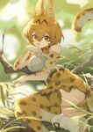  1girl animal_ears ass belt black_belt blonde_hair boots bow bowtie branch day elbow_gloves foot_out_of_frame gloves hair_between_eyes highres kemono_friends leaf medium_hair outdoors plant print_bow print_bowtie print_gloves print_skirt print_thighhighs serval_(kemono_friends) serval_print shirt siguma_(13238772100) skirt sleeveless sleeveless_shirt solo tail tongue tongue_out tree white_footwear white_shirt 