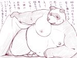  2023 anthro asian_clothing balls bedding belly big_belly blanket blush bulge canid canine clothing east_asian_clothing fundoshi genitals hi_res japanese_clothing japanese_text kemono male mammal moobs nameko_no_neko navel nipples one_eye_closed overweight overweight_male raccoon_dog solo tanuki text underwear wink 