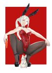  1girl bare_arms bare_shoulders black_nails breasts carrot chinese_zodiac choker covered_navel edelgard_von_hresvelg fire_emblem fire_emblem:_three_houses high_heels highres leotard looking_at_viewer medium_breasts nail_polish pantyhose pomelomelon purple_eyes rabbit red_background side_ponytail smile solo spread_legs squatting white_hair year_of_the_rabbit 