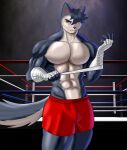  anthro canid canine canis domestic_dog fighting_pose hi_res husky instantgirl male mammal muscular muscular_anthro muscular_male nordic_sled_dog pose solo spitz 