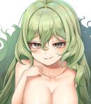  1girl :d bangs breasts collarbone completely_nude green_eyes green_hair grin highres honkai_(series) honkai_impact_3rd large_breasts long_hair mastgg mobius_(honkai_impact) nude simple_background smile smug solo teeth upper_body wavy_hair white_background 