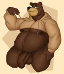  2021 4_fingers anthro areola bear belly biped bottomless clothed clothing digital_media_(artwork) fingers flaccid gabgbb genitals hi_res male mammal narrowed_eyes navel nipples pecs penis simple_background smile solo sweater thick_thighs topwear wide_hips 