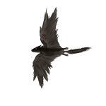  absurd_res allotheria ambiguous_gender black_body black_feathers black_fur claws feathered_wings feathers feral flying fur hi_res hypomartyria long_ears mammal wings 