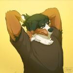  anthro bernese_mountain_dog black_body black_fur brown_body brown_eyes brown_fur canid canine canis caramel_eyes circle_eyebrows colored colored_sketch digital_drawing_(artwork) digital_media_(artwork) domestic_dog eyebrows eyewear fluffy fur glasses half_body hands_behind_back hi_res looking_forward male mammal molosser mountain_dog raised_arms shaded simple_background sinser sketch solo spots swiss_mountain_dog tying_hair white_body white_fur yellow_background 