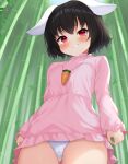 1girl animal_ears bamboo bangs black_hair breasts cameltoe carrot_necklace cowboy_shot daichi_(tokoya) dress from_below grin highres inaba_tewi jewelry looking_at_viewer medium_breasts necklace outdoors pink_dress rabbit_ears red_eyes short_hair smile solo teeth touhou upskirt 