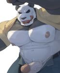  2023 abs anthro barazoku bear beastars belt big_muscles big_nipples big_pecs big_penis black_sclera bodily_fluids bottomwear clothed clothing drooling erection fur genitals giant_panda gouhin_(beastars) hi_res huge_muscles huger_smot humanoid_genitalia humanoid_penis licking licking_lips licking_own_lips male mammal muscular muscular_anthro muscular_male narrowed_eyes navel nipples open_mouth open_smile pants pecs penis raised_clothing raised_shirt raised_topwear saliva scar shadow shirt simple_background smile solo standing sweat teeth thick_penis tongue tongue_out topwear tuft unzipped vein white_background zipper 