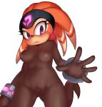  2021 accessory anthro areola armband blush breasts camel_toe clitoral_hood clitoris clothing echidna female fur genitals headband hi_res mammal monotreme navel nipples orange_body orange_fur purple_eyes pussy sandopoliszone sega shade_the_echidna skinsuit solo sonic_chronicles:_the_dark_brotherhood sonic_the_hedgehog_(series) spread_pussy spreading tight_clothing translucent translucent_clothing 