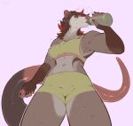  anthro athletic athletic_anthro athletic_female bodily_fluids bottle bottomwear bra brown_hair clothed clothing container didelphid drinking eyes_closed female fur grey_body grey_fur gym_bottomwear gym_clothing gym_shorts hair hi_res highlights_(coloring) low-angle_view mammal marion_(veryloudopossum) marsupial nipple_outline red_hair seraphictiger shorts simple_background solo sports_bra sweat thick-tail underwear virginia_opossum water_bottle 