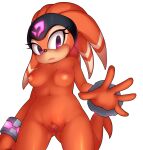  2021 accessory anthro areola armband blush breasts clitoral_hood clitoris echidna female fur genitals headband hi_res mammal monotreme navel nipples nude orange_body orange_fur purple_eyes pussy sandopoliszone sega shade_the_echidna solo sonic_chronicles:_the_dark_brotherhood sonic_the_hedgehog_(series) spread_pussy spreading 