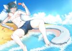  2019 absurd_res anthro beach big_tail blue_bottomwear blue_clothing bottomwear bulge clothing digital_media_(artwork) eyewear food giga glasses hair hi_res island macro male micro open_mouth outside popsicle popsicle_melting ratatula sand sea seaside swimwear tail unknown_species water 
