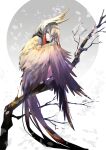  1girl absurdres animal_ears bird_ears bird_girl branch grey_background grey_hair harpy highres long_hair looking_at_viewer monster_girl multicolored_hair original red_hair sanamisa simple_background solo streaked_hair yellow_eyes 