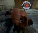  3d_(artwork) alien anal anal_penetration anus balls blush butt digital_media_(artwork) duo erection garry&#039;s_mod genitals half-life half-life_2 headcrab male male/male male_penetrated male_penetrating male_penetrating_male not_furry nsg_editor nude penetration penis sex valve 