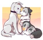  &lt;3 australian_shepherd belly black_ears black_nose black_spots black_tail blue_eyes canid canine canis choker domestic_dog duo female feral fur grey_body grey_fur herding_dog jewelry looking_at_another love ludek_(tsukune_minaga) male male/female mammal merle_(tsukune_minaga) necklace orange_patches pastoral_dog pink_ears pink_nose shaded sheepdog simple_coloring simple_shading spots tail tsukune_minaga white_belly white_body 
