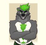  anthro blush body_hair bottomwear canid canine canis chest_hair clothing crossed_arms drez243187 eyebrows fluffy green_eyes green_hair hair hairy male mammal muscular muscular_male open_mouth raised_eyebrow shorts solo wolf 