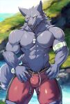  abs anthro athletic black_body black_fur canid canine canis clothing fur grin lifeguard looking_at_viewer male mammal muscular muscular_anthro muscular_male pecs smile standing swimwear v-line wolf zex 