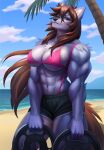  2023 abs anthro beach black_nose bra breasts brown_eyes brown_hair canid canine clothed clothing day detailed_background digital_media_(artwork) eyebrows eyelashes female flessia hair hi_res mammal muscular muscular_female outside sand seaside shoreline sky smile underwear water 