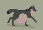  ambiguous_gender belly big_belly black_body black_claws black_fur black_pawpads canid claws duo feral fur glistening glistening_eyes grey_body grey_eyes grey_fur hi_res hyper hyper_belly mammal mouth_closed paw_imprint pawpads roobin side_view signature simple_background solo_focus vore 