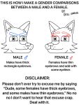  3:4 anthro canid canine canis digital_media_(artwork) disclaimer duo english_text eric_xoring eyebrows eyeliner female hi_res how-to invalid_tag learning looking_at_viewer makeup male mammal simple_background text white_background 