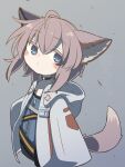  1girl ahoge animal_ears arknights black_choker blue_eyes blue_shirt blush brown_hair choker fox_ears fox_girl fox_tail grey_background ishimizu08 jacket long_sleeves looking_at_viewer shirt short_hair simple_background solo sussurro_(arknights) tail upper_body white_jacket 