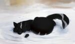  abdominal_bulge ambiguous_gender belly big_belly black_body black_fur black_nose blue_eyes canid cheek_tuft facial_tuft feral fur glistening glistening_eyes grey_markings hi_res huge_belly mammal markings mouth_closed outside paw_imprint roobin signature snow tuft vore 