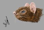  ambiguous_gender digital_drawing_(artwork) digital_media_(artwork) disembodied_head feral fur lied_etal mammal rodent signature solo 