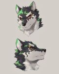  anthro black_and_white_fur canid canine canis domestic_dog green_eyes headshot_portrait hi_res husky lifewonders live_a_hero looking_at_viewer male mammal monomasa neck_tuft nordic_sled_dog portrait red_sclera side_view solo spitz tobenaibuka tuft 