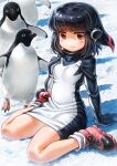  1girl adelie_penguin adelie_penguin_(kemono_friends) bird black_hair black_sweater blush boots dress headphones highres kemono_friends long_sleeves oyu_udon penguin pink_footwear red_eyes red_hair short_hair sitting snow socks solo sweater sweater_dress turtleneck turtleneck_sweater wariza white_socks white_sweater 