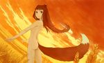  animal_ears ass breasts brown brown_eyes brown_hair cloud dutch_angle error field haruno holo long_hair nude sideboob sky small_breasts solo spice_and_wolf tail wheat wind wolf_ears wolf_tail 