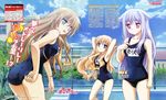  3girls absurdres brown_hair highres long_hair mayoi_neko_overrun! multiple_girls scan serizawa_fumino swimsuit 
