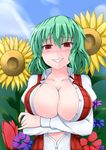  blush breasts cleavage crossed_arms day flower green_hair grin kazami_yuuka large_breasts oga_raito open_clothes open_shirt red_eyes shirt short_hair sky smile solo sunflower touhou 