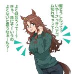  1girl animal_ears black_pants blush breasts brown_hair casual dutch_angle from_side green_eyes green_sweater hair_down highres horse_ears horse_girl horse_tail large_breasts long_hair looking_to_the_side mejiro_palmer_(umamusume) multicolored_hair pants ribbed_sweater solo streaked_hair suecovsky sweater tail umamusume wavy_hair white_hair 