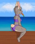  2d_animation animated anthro artist_name bell big_ears blinking brown_eyes butt carrot chewing_object clothing cute_eyes ear_flick female food fur grey_body grey_fur humanoid lagomorph leporid mammal mouth_closed plant purple_clothing rabbit scut_tail sea short_tail solo swimwear tail tail_motion tailwag thick_thighs vegetable water 
