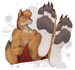  anthro barefoot canid canine canis claws clothed clothing coyote feet foot_focus hair hi_res kredri male mammal paws simple_background smile soles solo toe_claws toes 