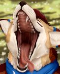  absurd_res anthro artist_name blue_ears bodily_fluids brown_body brown_ears brown_fur bust_portrait canid eyes_closed facial_spots fangs front_view fur hair hi_res male mammal mouth_shot multicolored_body multicolored_fur open_mouth orange_body orange_fur portrait red_hair red_tongue roobin saliva saliva_on_tongue saliva_string simple_background solo spotted_face tan_body tan_ears tan_fur teeth tongue tongue_out white_body white_fur 