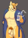  anthro balls bottomless canid canine canis circumcised circumcision_scar clothed clothing coffee_mug flaccid fur genital_scar genitals hi_res holding_mug holding_object inner_ear_fluff male mammal mug muscular muscular_anthro muscular_male neck_tuft nipples open_clothing open_robe orange_body orange_fur penis pubes robe scar solo steam tan_body tan_fur tuft vasuki wolf 