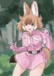  1girl absurdres animal_ears belt brown_eyes brown_hair dhole_(kemono_friends) elbow_gloves extra_ears gloves highres jacket kemono_friends kemono_friends_3 necktie pink_gloves pink_jacket pink_skirt short_hair skirt solo star_(symbol) tail toriny wolf_ears wolf_girl wolf_tail 