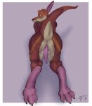  2021 all_fours anatomically_correct anatomically_correct_genitalia animal_genitalia animal_penis anthro anus balls brown_body brown_fur butt claws erection feet fur genitals kangaroo kinveroo looking_at_viewer looking_back macropod male mammal marsupial marsupial_penis nude paws penis presenting presenting_hindquarters presenting_penis raised_tail solo tail tapering_penis toggle_(artist) 